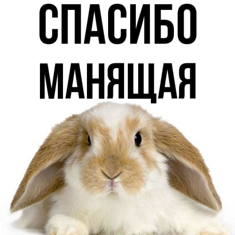 Картинка Спасибо, манящая