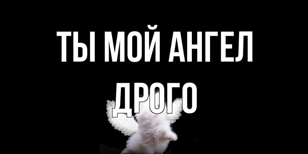 Открытка на каждый день с именем, Дрого Ты мой ангел Кот ангел Прикольная открытка с пожеланием онлайн скачать бесплатно 