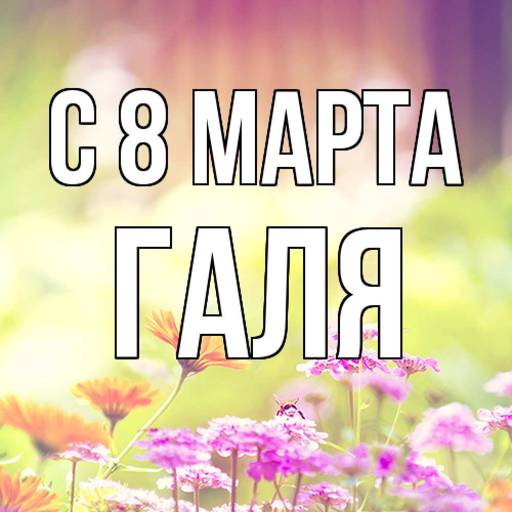 Открытка на каждый день с именем, Галя C 8 МАРТА цветы весна Прикольная открытка с пожеланием онлайн скачать бесплатно 