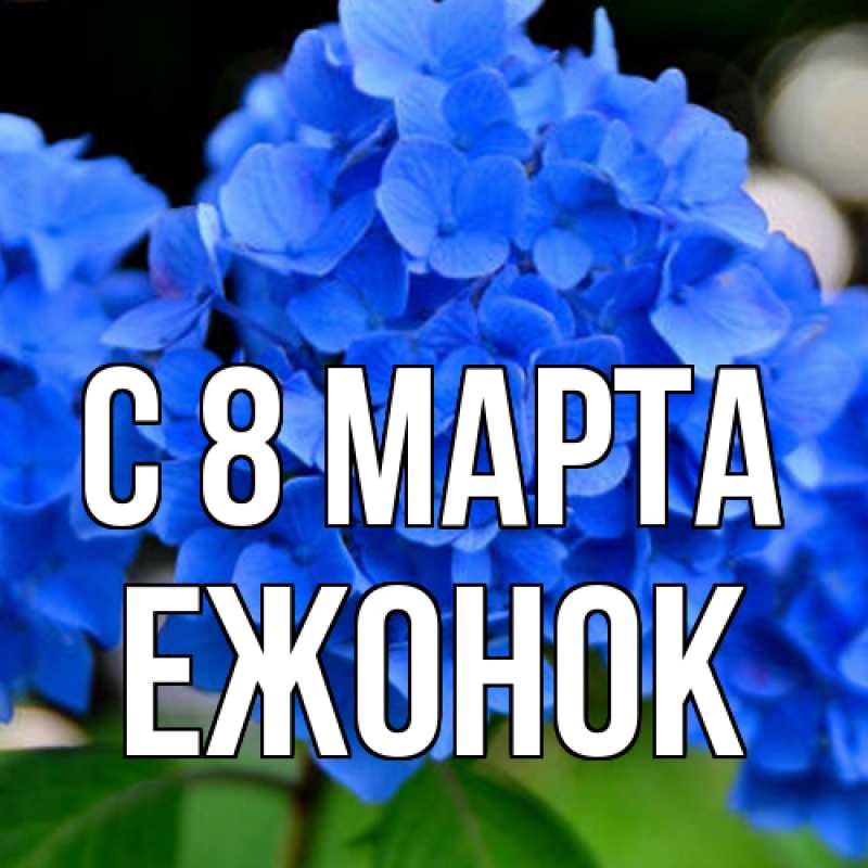 Картинка C 8 МАРТА, Ежонок