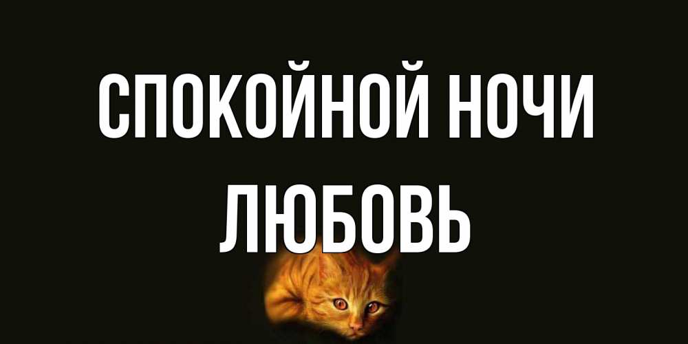 Открытка на каждый день с именем, Любовь Спокойной ночи кот Прикольная открытка с пожеланием онлайн скачать бесплатно 