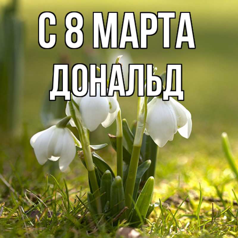 Картинка C 8 МАРТА, Дональд