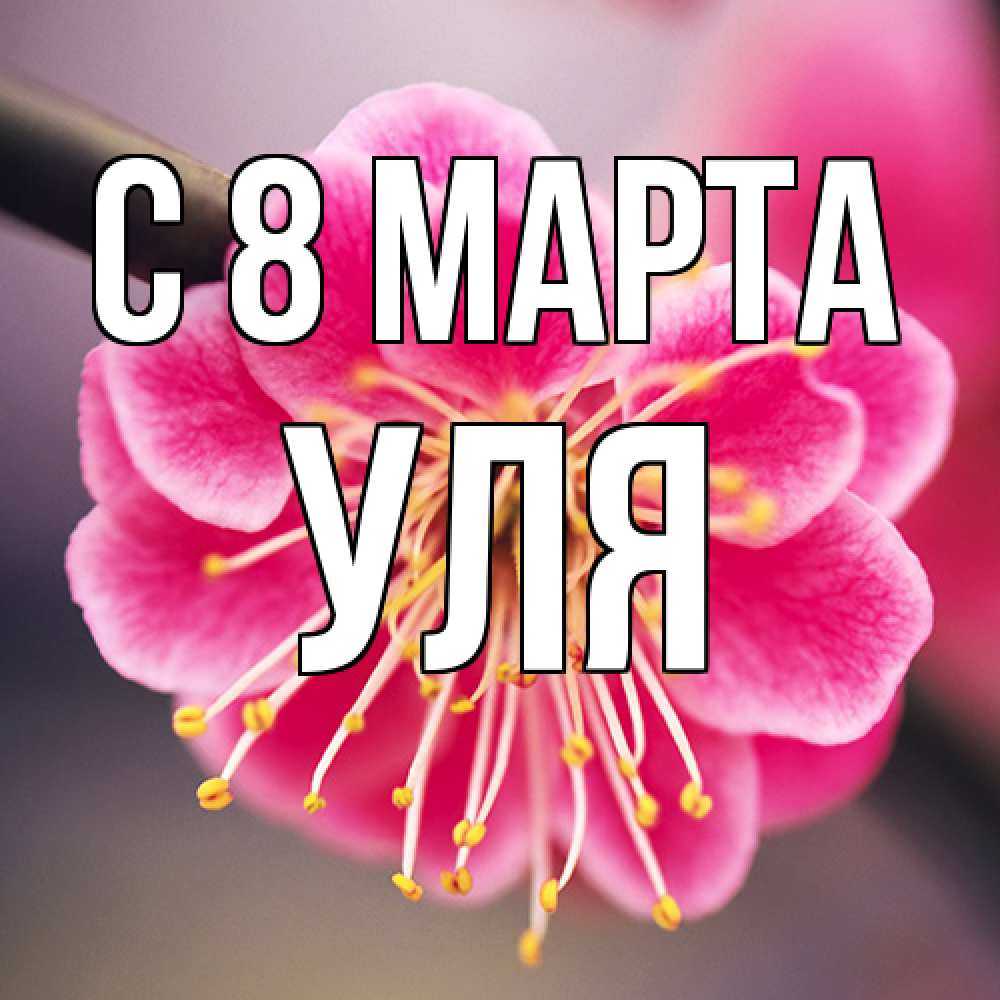 Открытка на каждый день с именем, Уля C 8 МАРТА цветы Прикольная открытка с пожеланием онлайн скачать бесплатно 