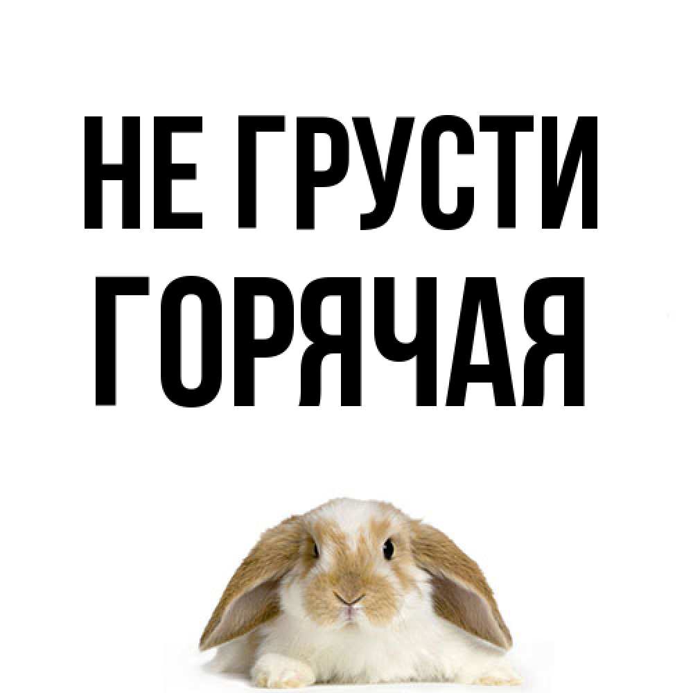 Открытка на каждый день с именем, горячая Не грусти коричнево белый заяц с большими ушками Прикольная открытка с пожеланием онлайн скачать бесплатно 