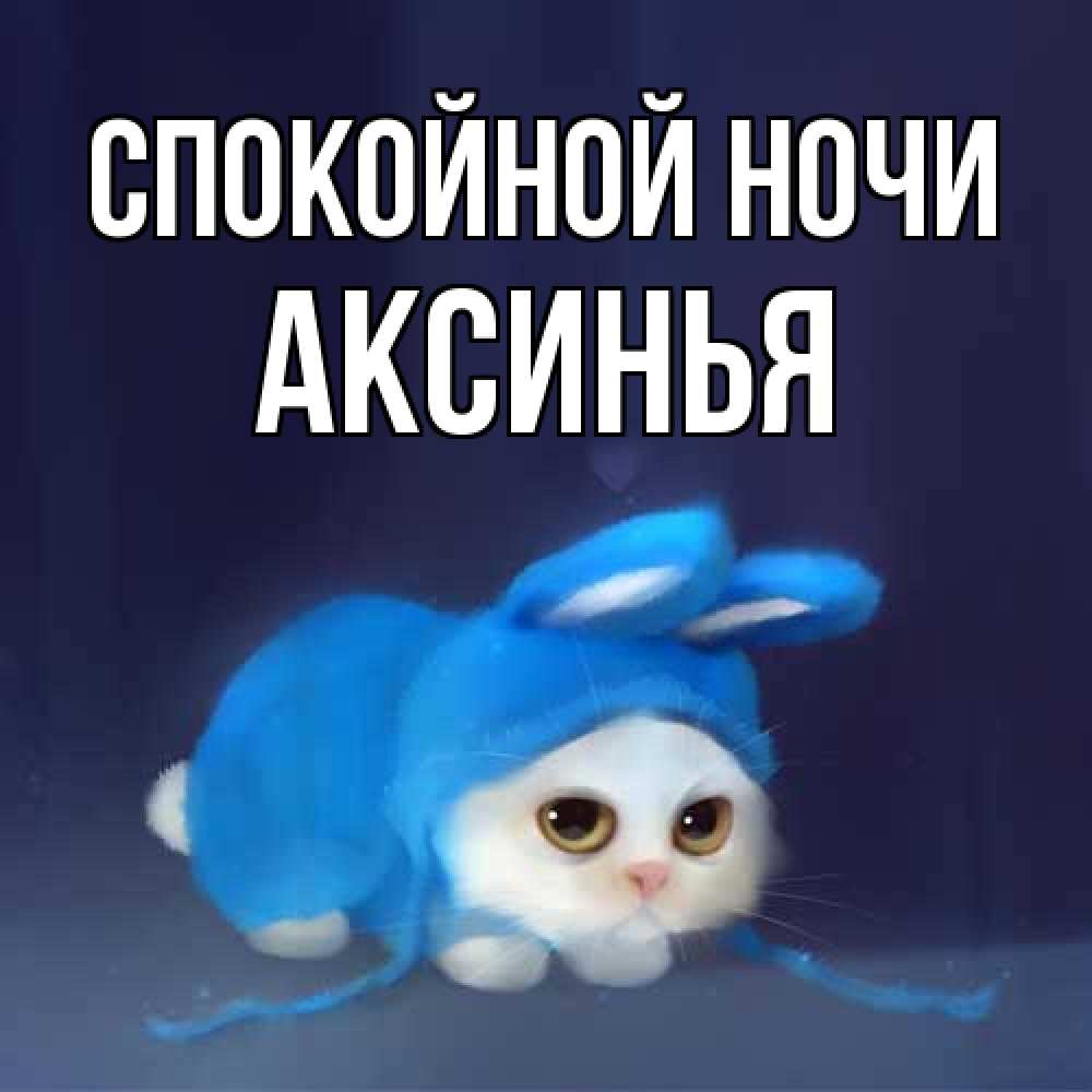 Открытка на каждый день с именем, Аксинья Спокойной ночи кот в голубом костюме кролика с ушками Прикольная открытка с пожеланием онлайн скачать бесплатно 