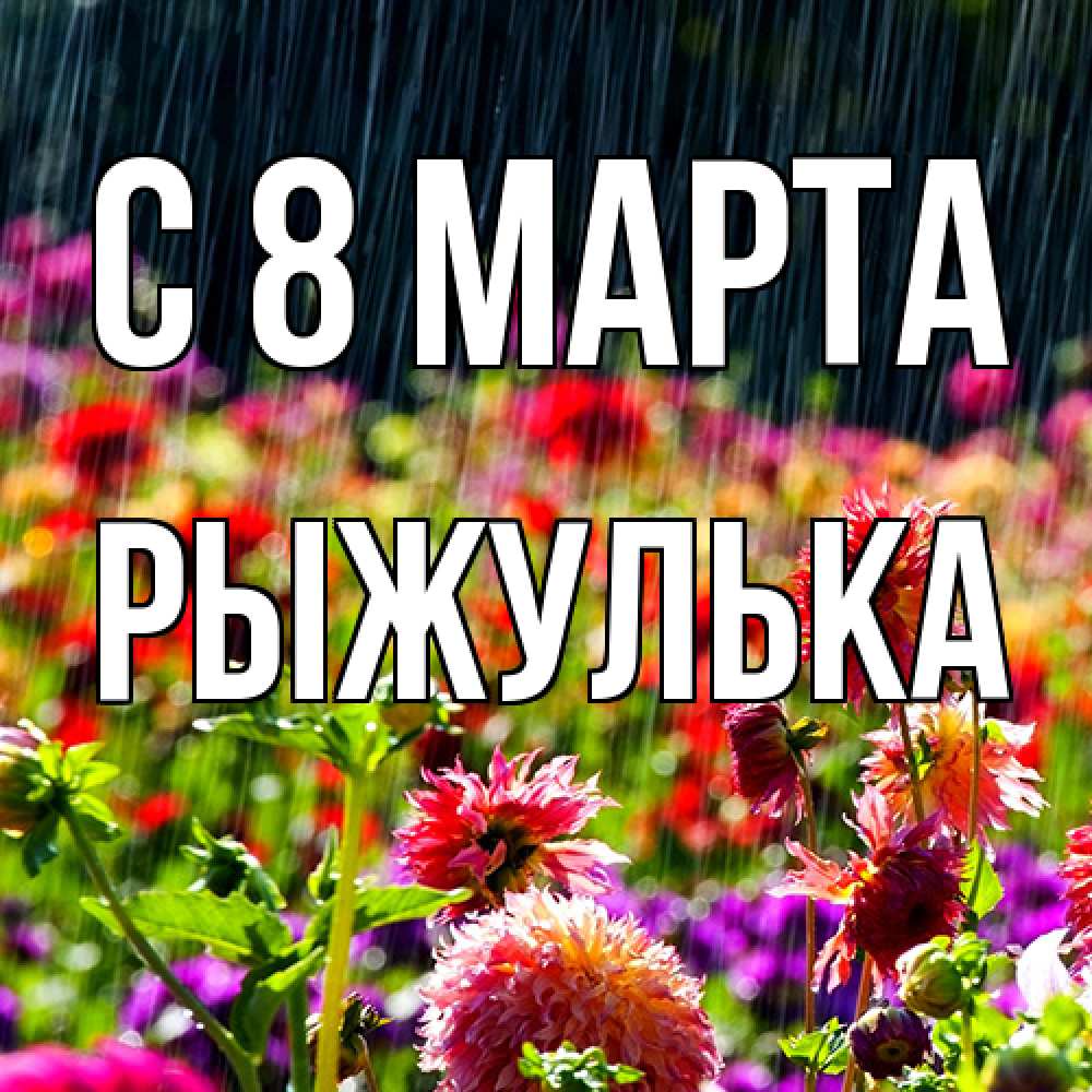 Открытка на каждый день с именем, рыжулька C 8 МАРТА цветы под дождиком к международному женскому дню Прикольная открытка с пожеланием онлайн скачать бесплатно 