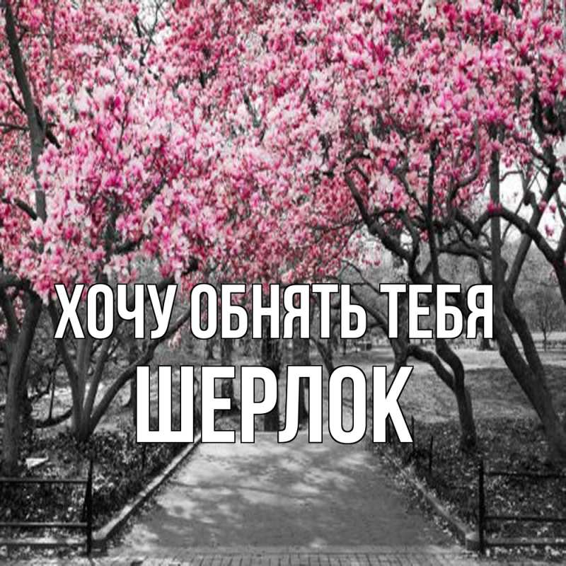 Картинка Хочу обнять тебя, Шерлок