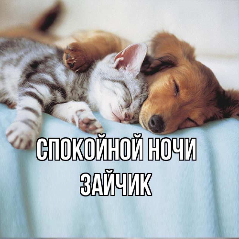 Картинка Спокойной ночи, зайчик