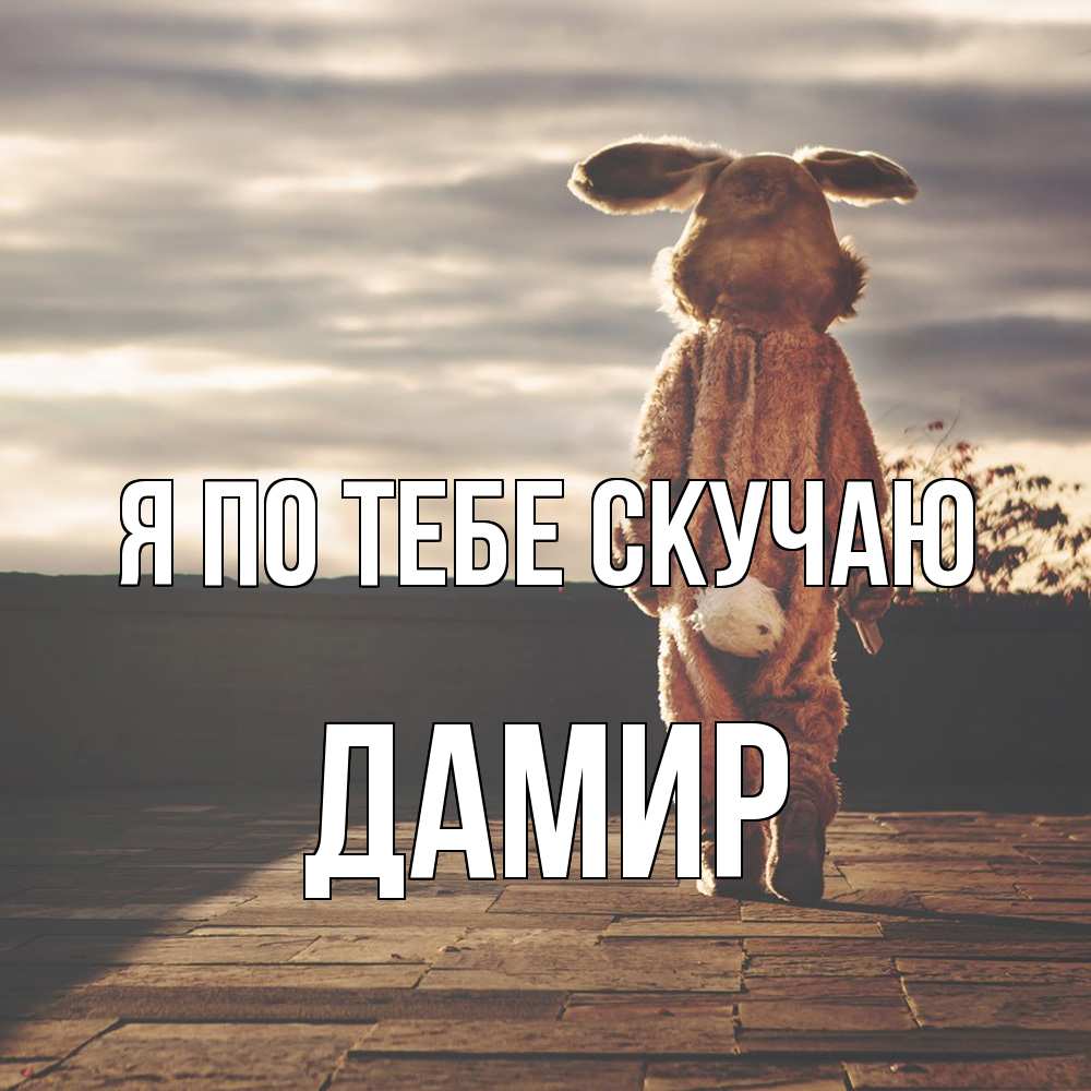 Открытка на каждый день с именем, Дамир Я по тебе скучаю даже в костюме зайца Прикольная открытка с пожеланием онлайн скачать бесплатно 