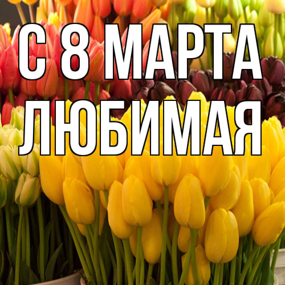 Открытка на каждый день с именем, Любимая C 8 МАРТА цветы Прикольная открытка с пожеланием онлайн скачать бесплатно 