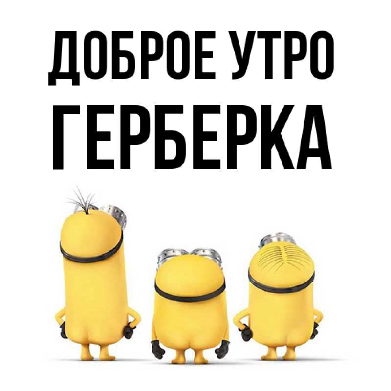 Картинка Доброе утро, Герберка
