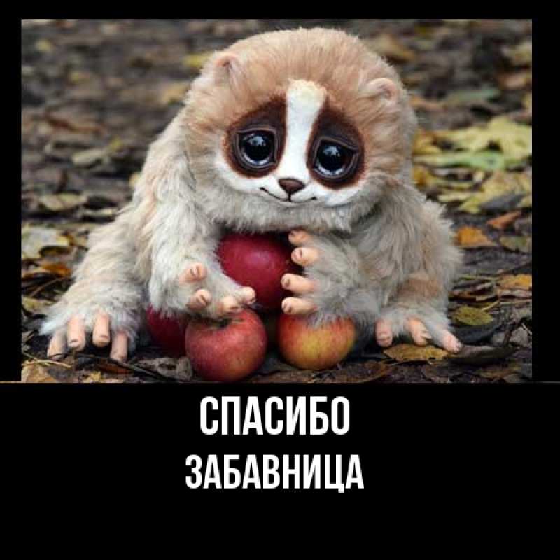 Картинка Спасибо, Забавница
