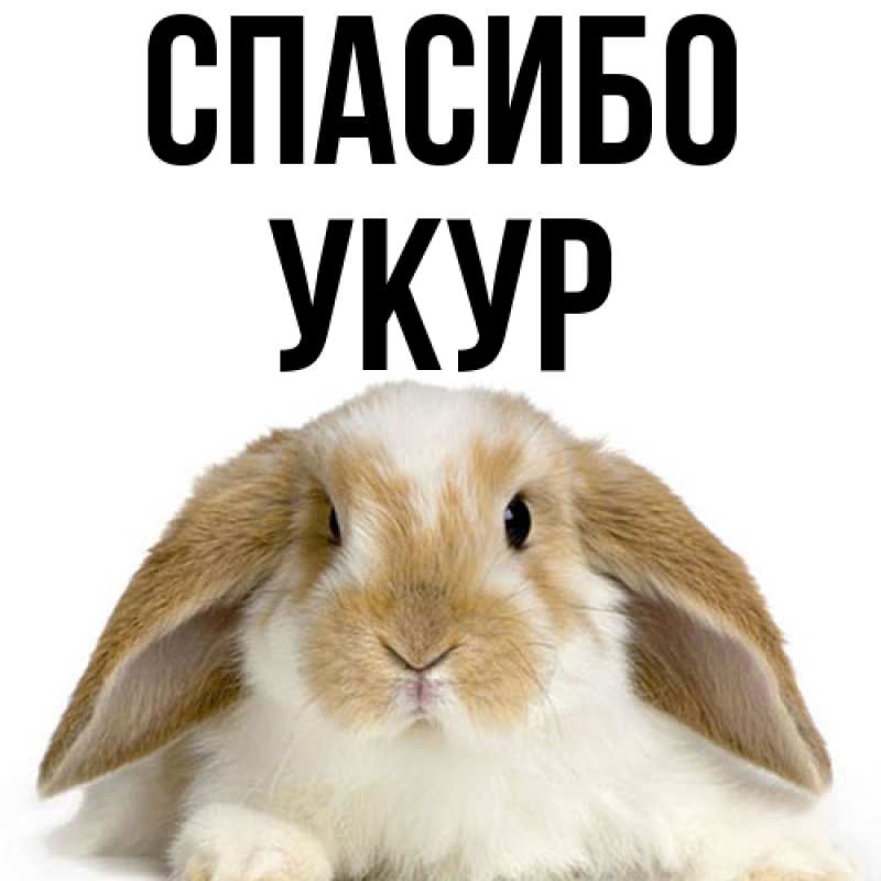 Картинка Спасибо, Укур