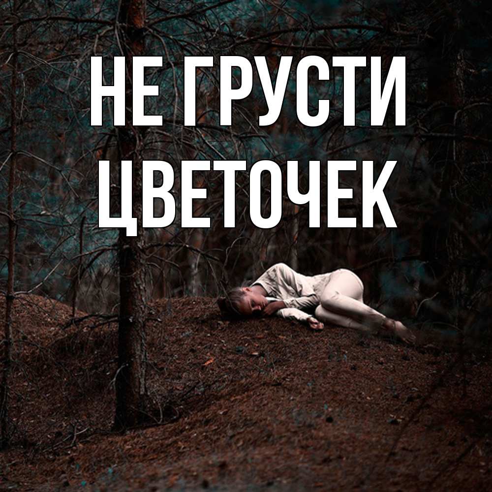Открытка на каждый день с именем, Цветочек Не грусти лес Прикольная открытка с пожеланием онлайн скачать бесплатно 