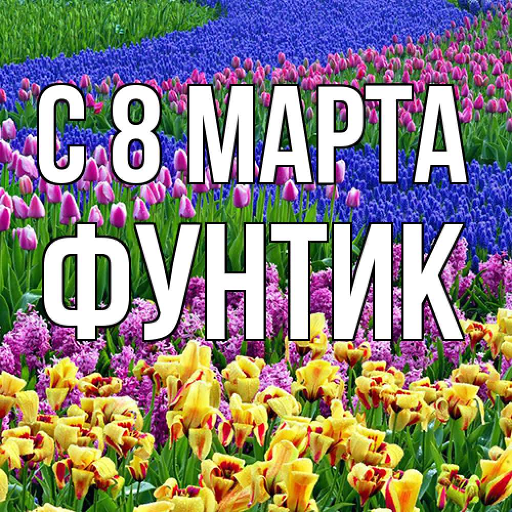Открытка на каждый день с именем, фунтик C 8 МАРТА цветы Прикольная открытка с пожеланием онлайн скачать бесплатно 