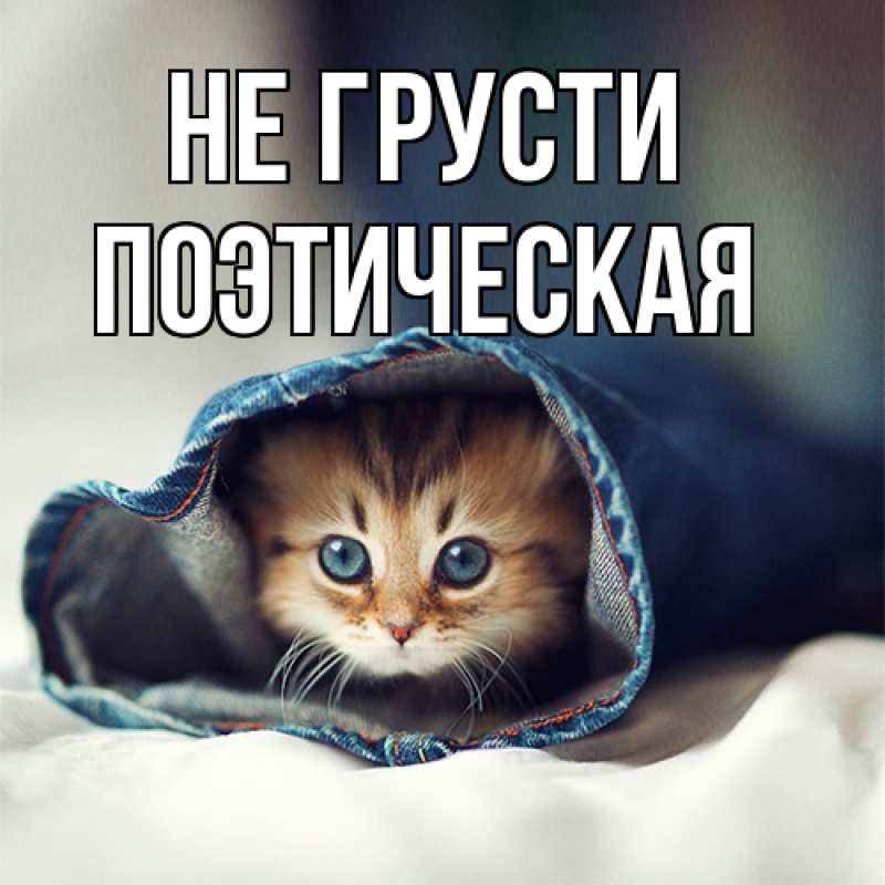 Картинка Не грусти, Поэтическая