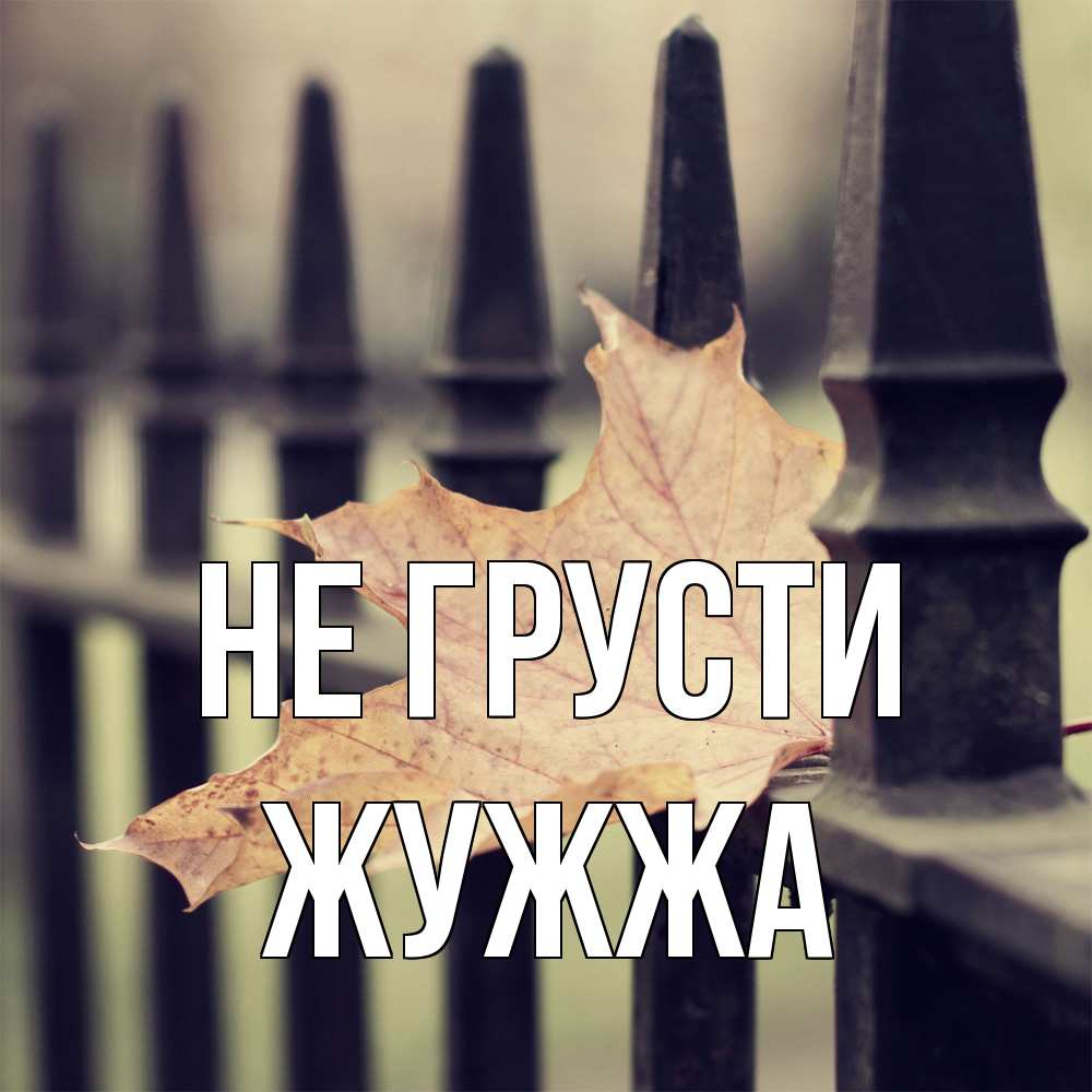 Открытка на каждый день с именем, Жужжа Не грусти лист клена Прикольная открытка с пожеланием онлайн скачать бесплатно 