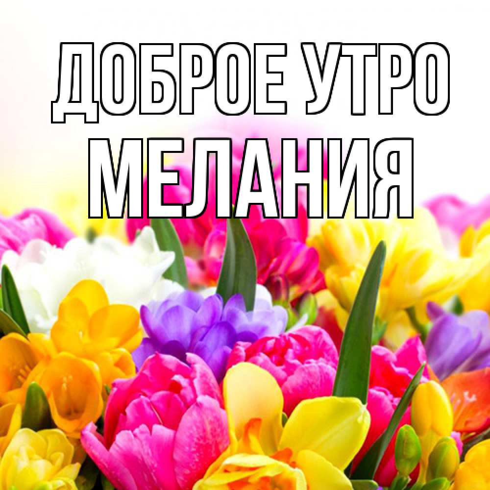 Открытка на каждый день с именем, Мелания Доброе утро создать открытку со свое подписью Прикольная открытка с пожеланием онлайн скачать бесплатно 