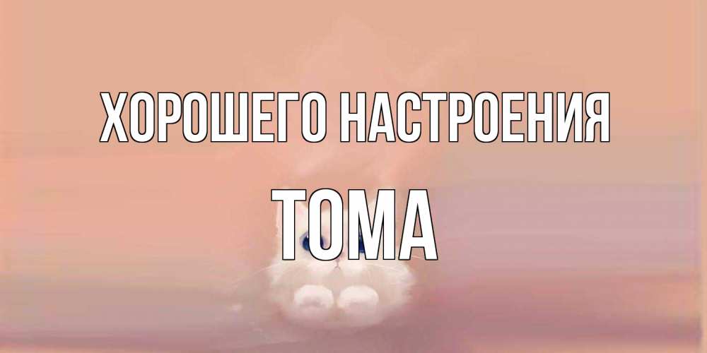 Открытка на каждый день с именем, Тома Хорошего настроения кошка Прикольная открытка с пожеланием онлайн скачать бесплатно 