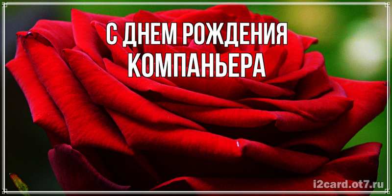 Картинка С днем рождения, Компаньера