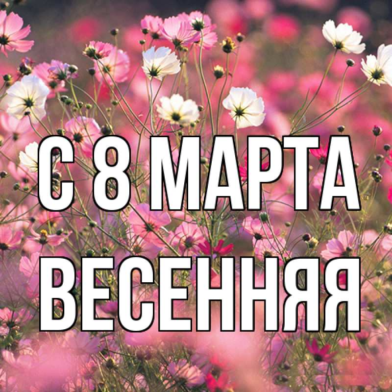 Картинка C 8 МАРТА, Весенняя