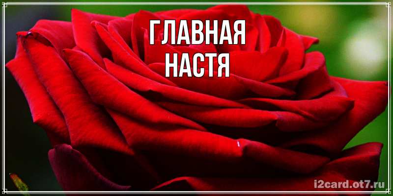 Картинка  с именем , настя