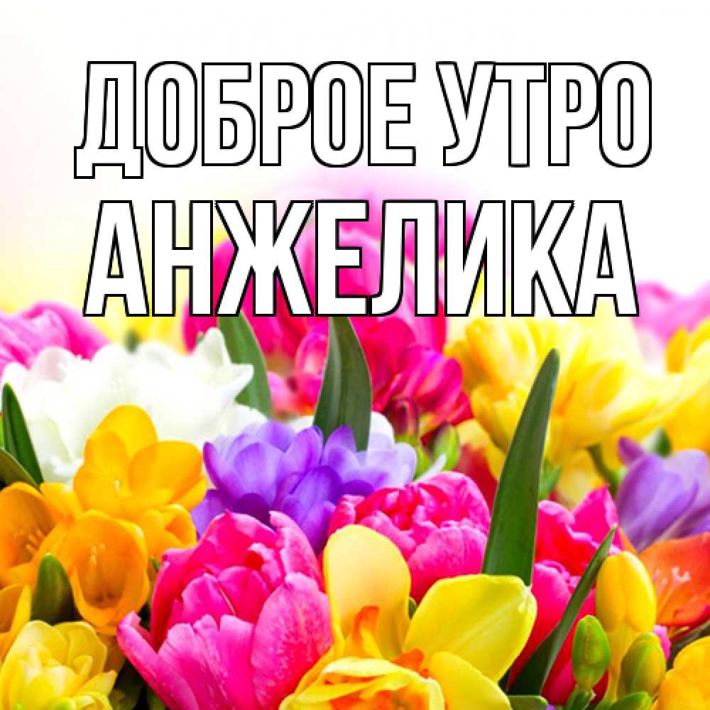 Открытка на каждый день с именем, Анжелика Доброе утро создать открытку со свое подписью Прикольная открытка с пожеланием онлайн скачать бесплатно 