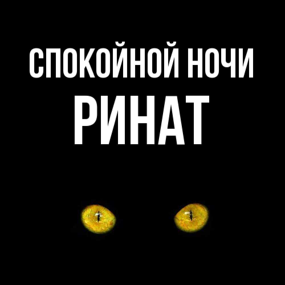 Открытка на каждый день с именем, Ринат Спокойной ночи сладких снов бесстрашный мой дружочек Прикольная открытка с пожеланием онлайн скачать бесплатно 