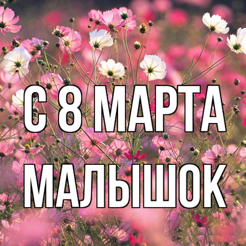 Картинка C 8 МАРТА, малышок