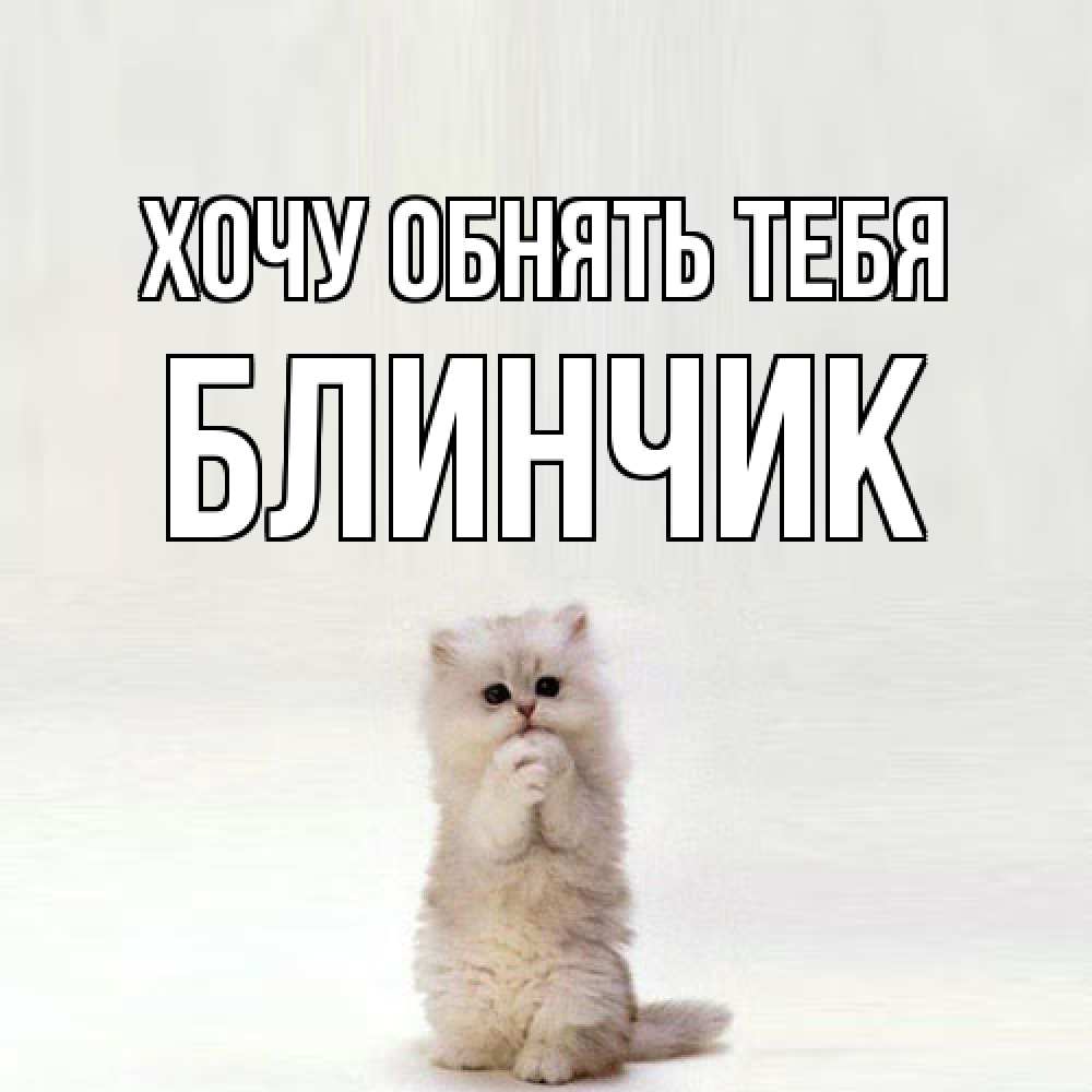 Открытка на каждый день с именем, Блинчик Хочу обнять тебя открытки с креативными подписями Прикольная открытка с пожеланием онлайн скачать бесплатно 