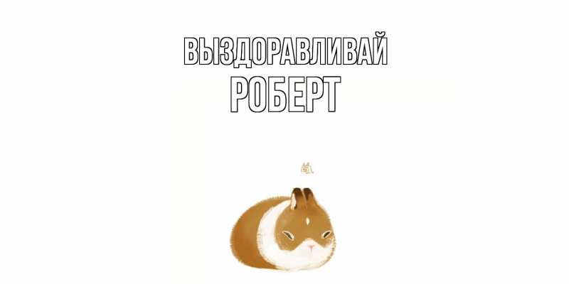 Картинка Выздоравливай, Роберт