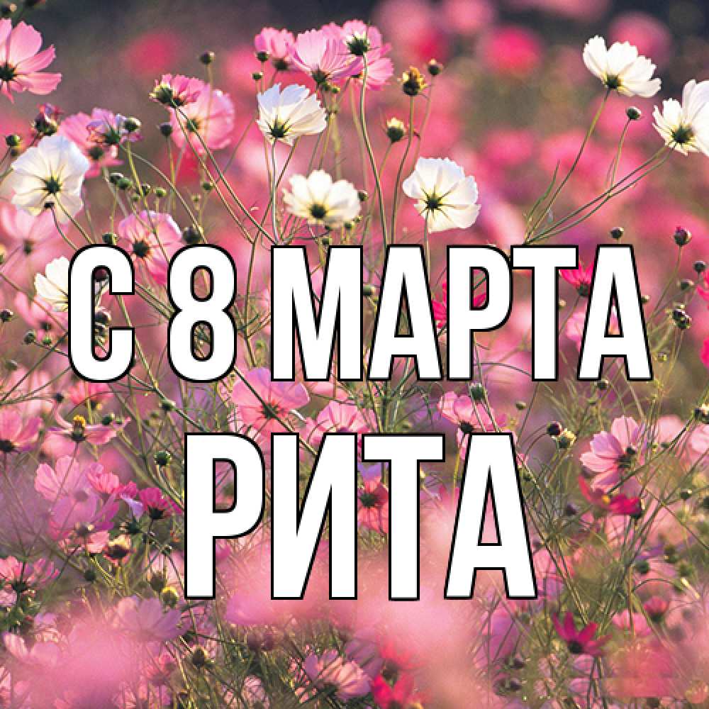 Открытка на каждый день с именем, Рита C 8 МАРТА красиво 1 Прикольная открытка с пожеланием онлайн скачать бесплатно 