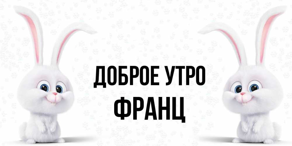 Открытка на каждый день с именем, Франц Доброе утро кролики с длинными ушками Прикольная открытка с пожеланием онлайн скачать бесплатно 