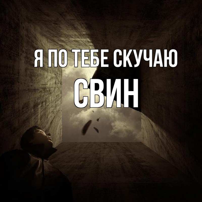 Картинка Я по тебе скучаю, Свин