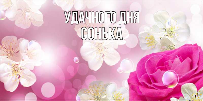 Картинка Удачного дня, Сонька
