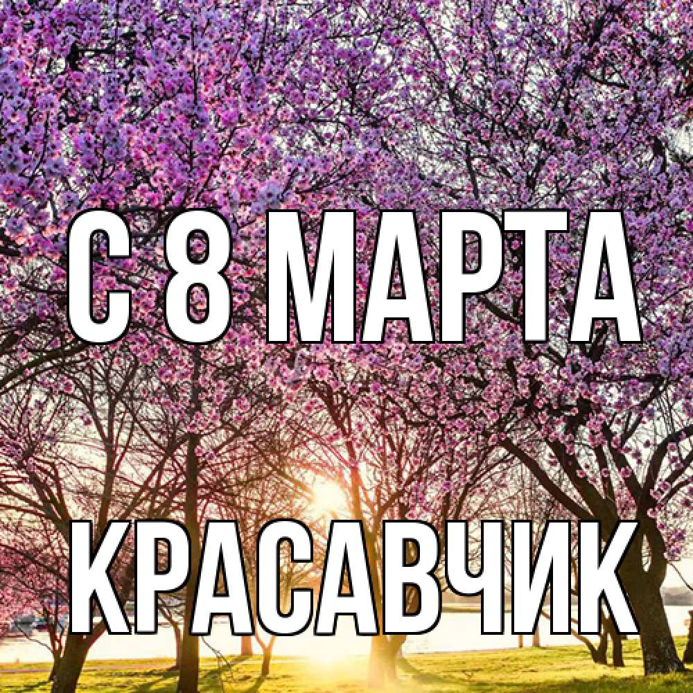 Открытка на каждый день с именем, Красавчик C 8 МАРТА международный женский день Прикольная открытка с пожеланием онлайн скачать бесплатно 