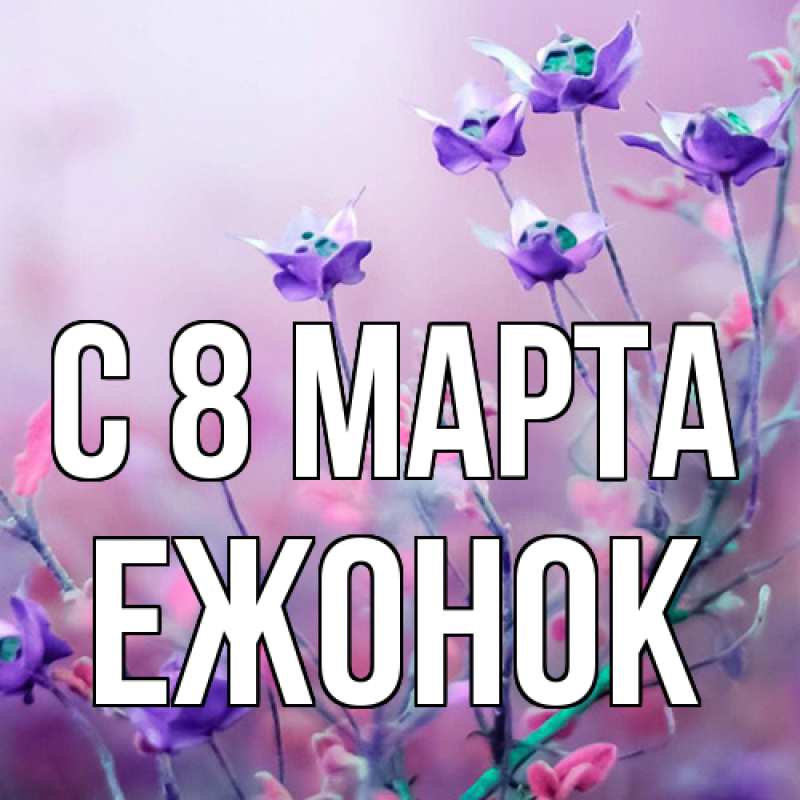 Картинка C 8 МАРТА, Ежонок