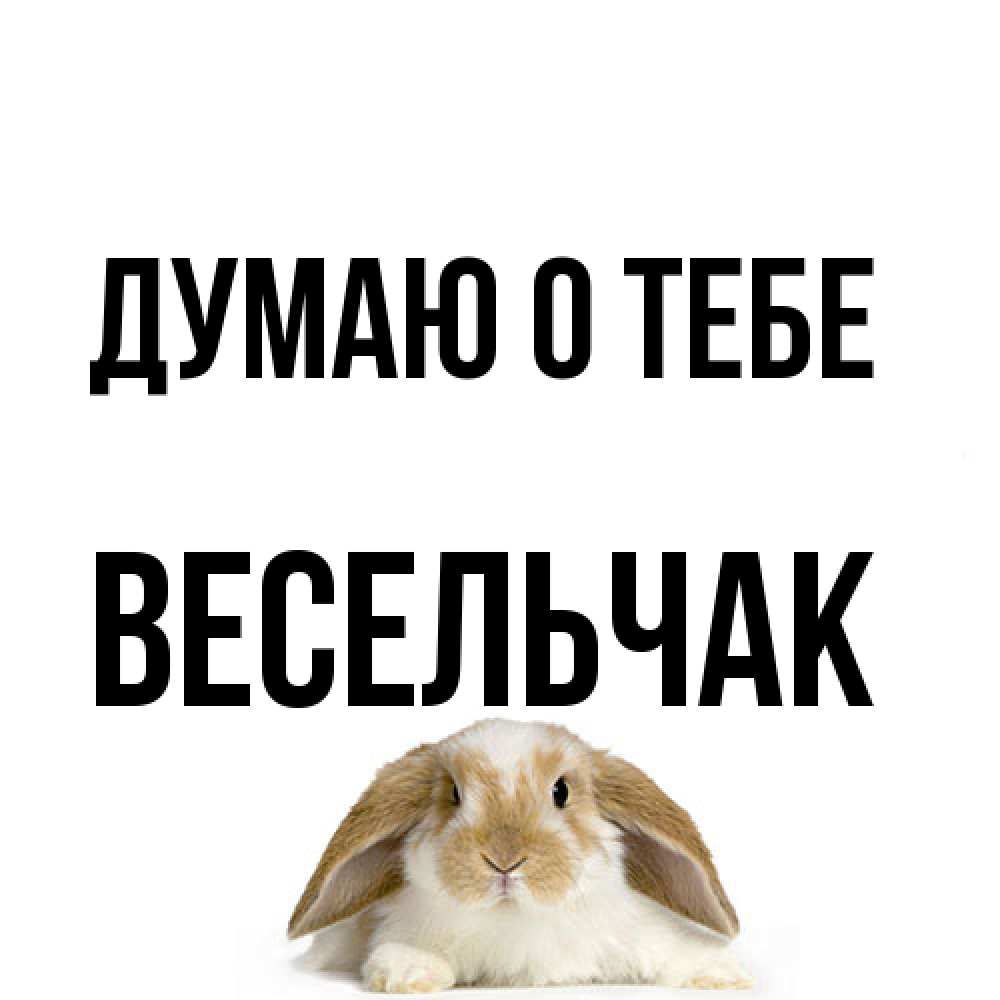 Открытка на каждый день с именем, Весельчак Думаю о тебе подписать своими руками онлайн Прикольная открытка с пожеланием онлайн скачать бесплатно 