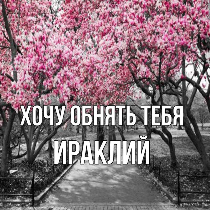 Картинка Хочу обнять тебя, Ираклий