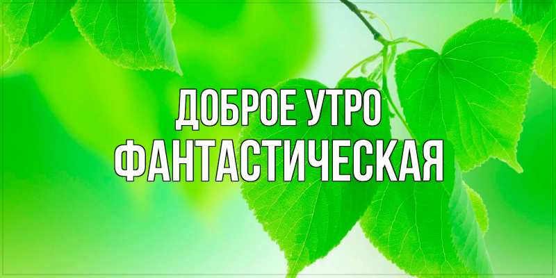 Картинка Доброе утро, Фантастическая