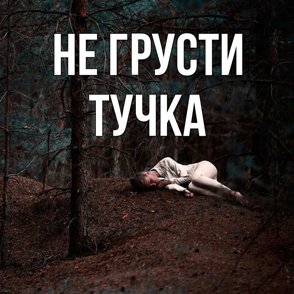 Открытка на каждый день с именем, Тучка Не грусти лес Прикольная открытка с пожеланием онлайн скачать бесплатно 