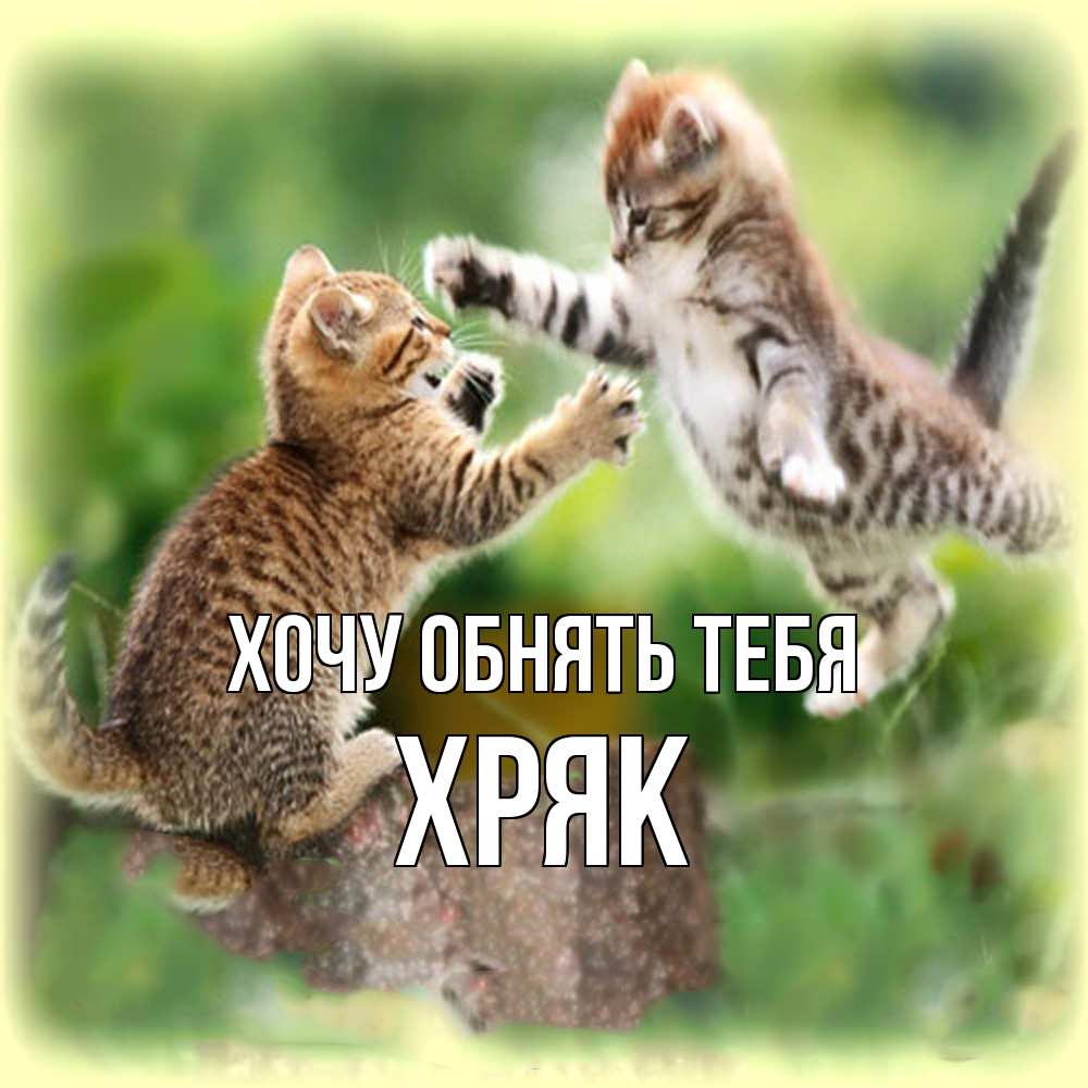 Открытка на каждый день с именем, Хряк Хочу обнять тебя игры котят Прикольная открытка с пожеланием онлайн скачать бесплатно 