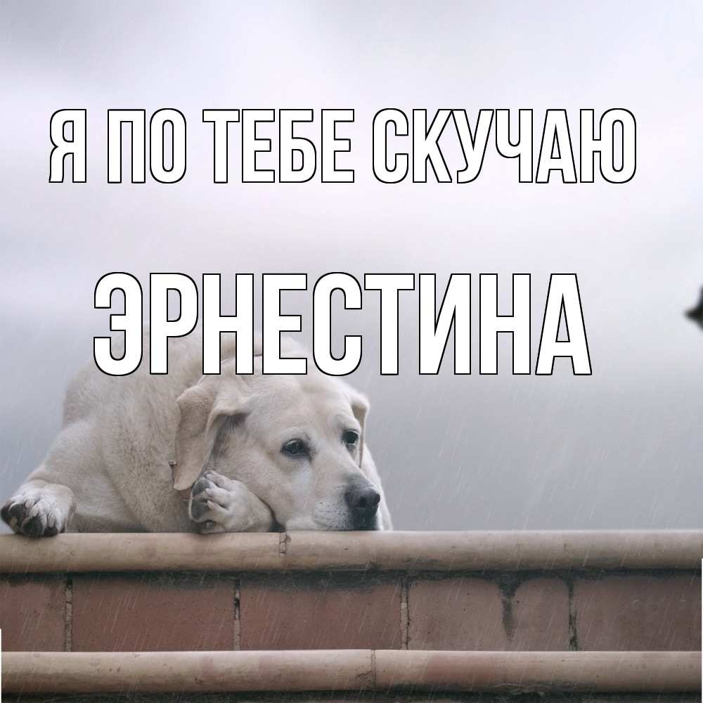 Открытка на каждый день с именем, Эрнестина Я по тебе скучаю ждет Прикольная открытка с пожеланием онлайн скачать бесплатно 