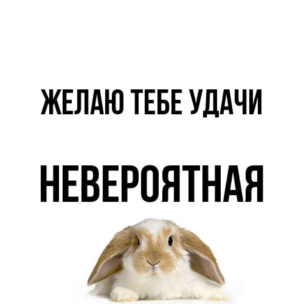 Открытка на каждый день с именем, невероятная Желаю тебе удачи открытки с произвольным текстом который можно вставить в открытку и создать ее самостоятельно бесплатно онлайн Прикольная открытка с пожеланием онлайн скачать бесплатно 