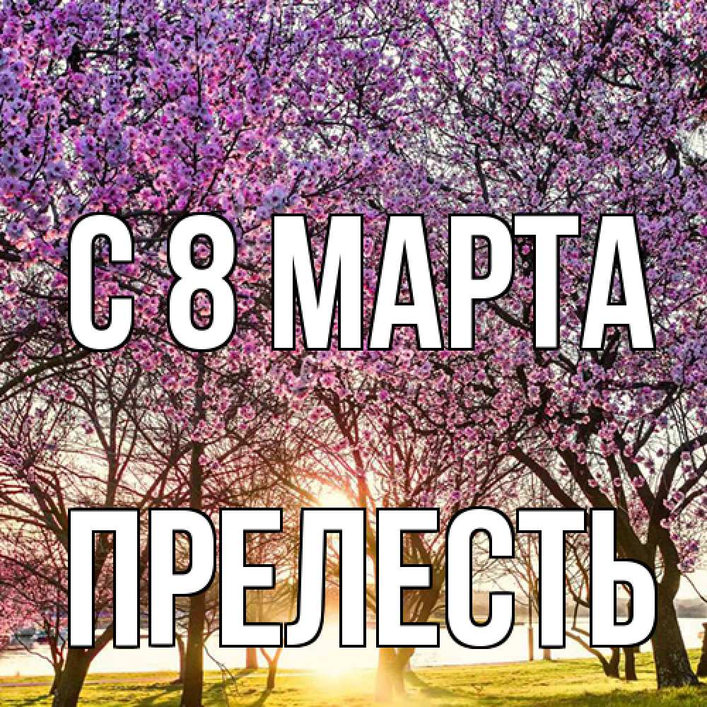 Открытка на каждый день с именем, прелесть C 8 МАРТА международный женский день Прикольная открытка с пожеланием онлайн скачать бесплатно 