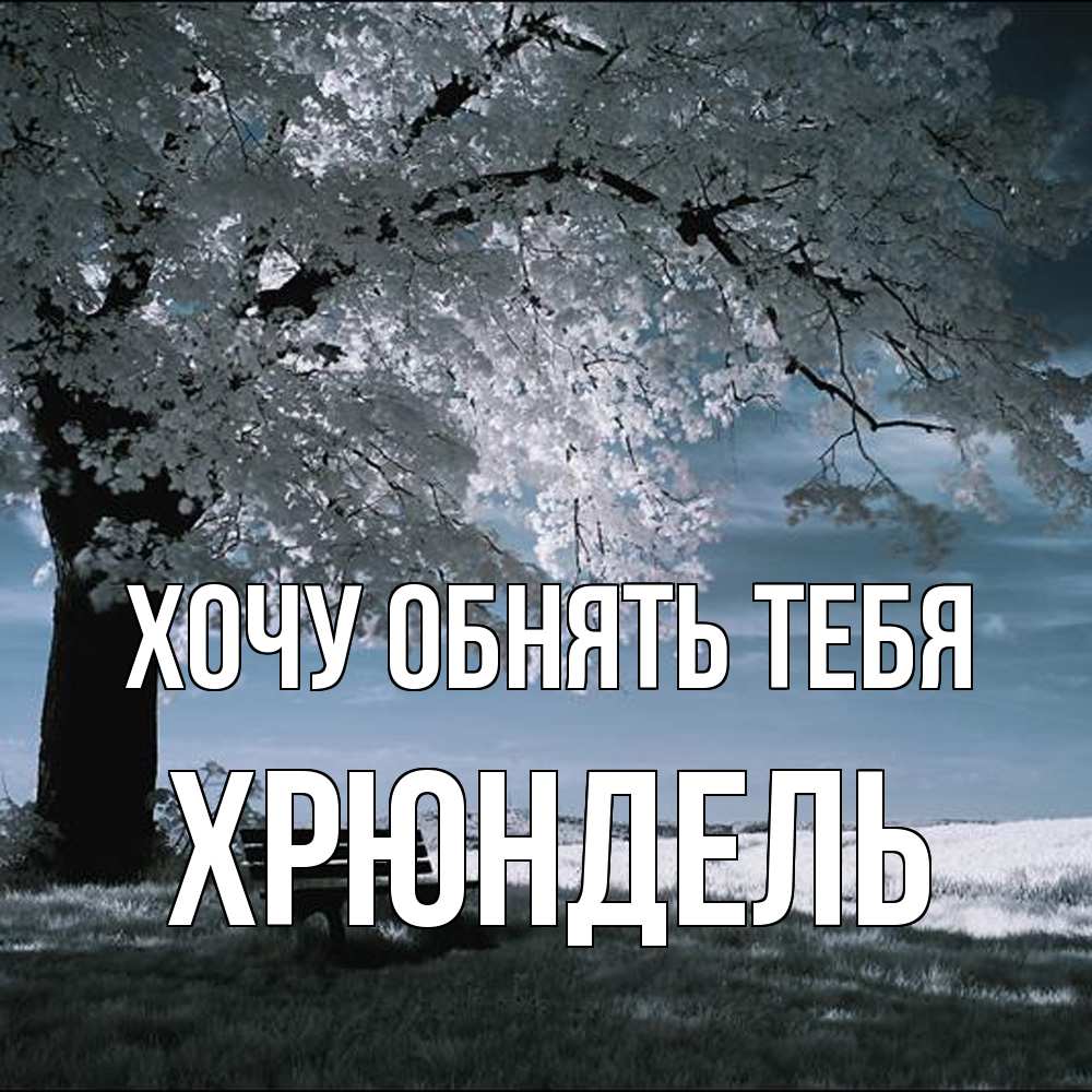 Открытка на каждый день с именем, Хрюндель Хочу обнять тебя дерево Прикольная открытка с пожеланием онлайн скачать бесплатно 