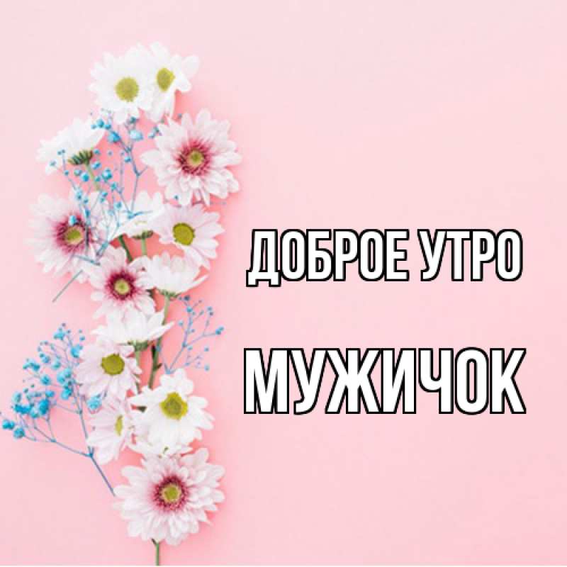 Картинка Доброе утро, Мужичок