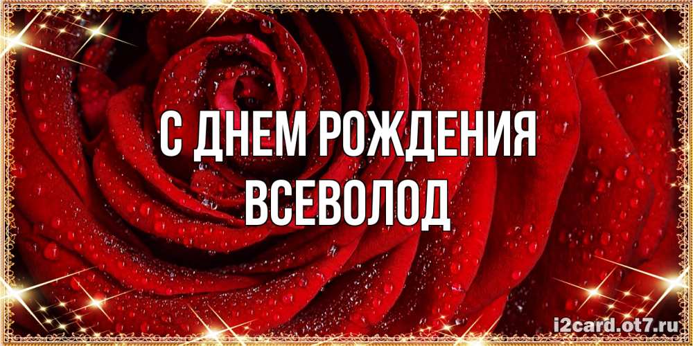 Открытка на каждый день с именем, Всеволод С днем рождения роса на розе блестящая в лучах солнца Прикольная открытка с пожеланием онлайн скачать бесплатно 