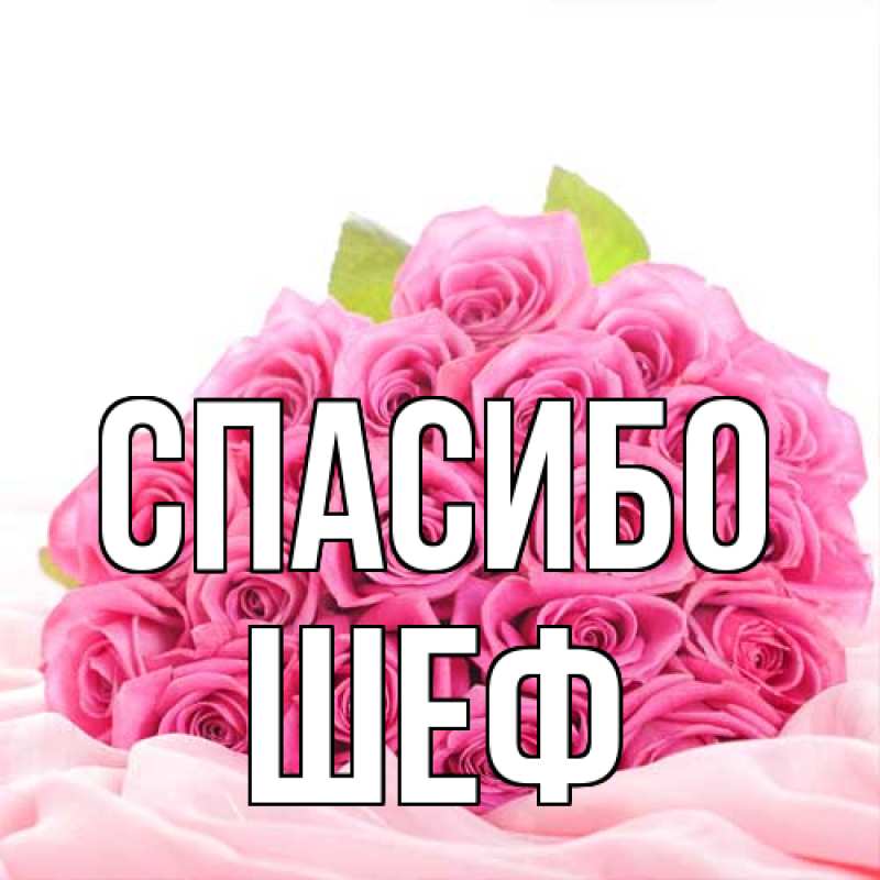 Картинка Спасибо, Шеф