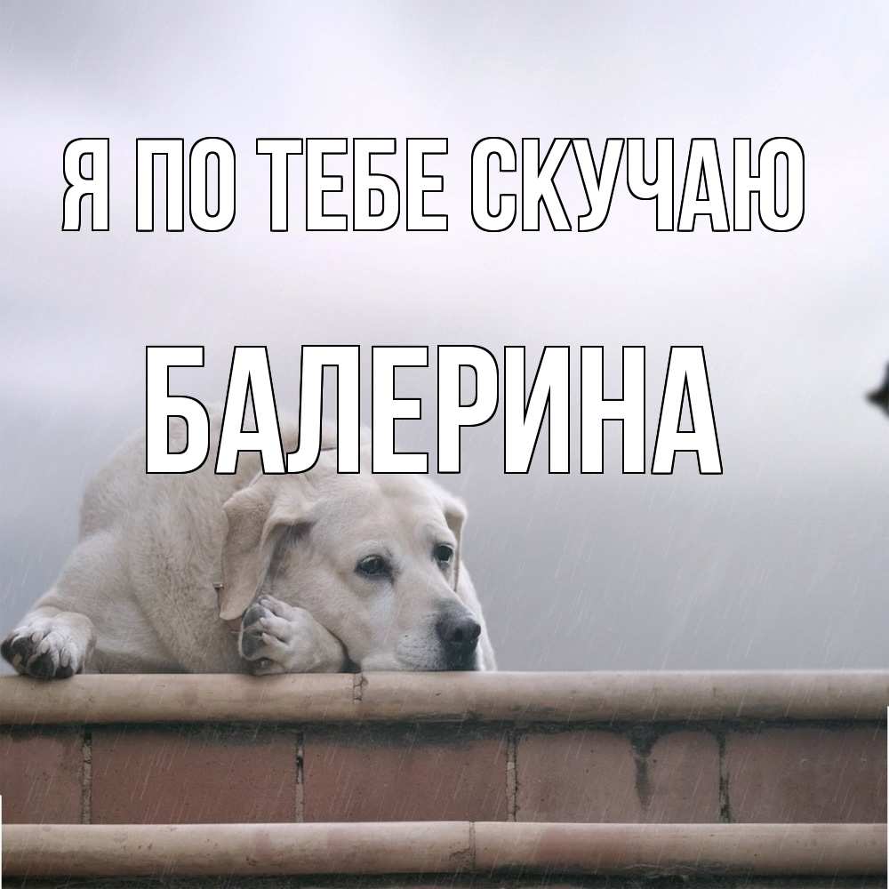 Открытка на каждый день с именем, Балерина Я по тебе скучаю ждет Прикольная открытка с пожеланием онлайн скачать бесплатно 